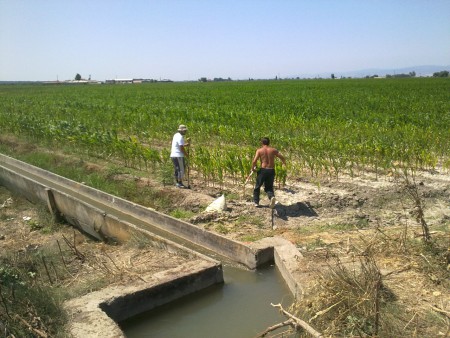 Karacabey / Bakırköy