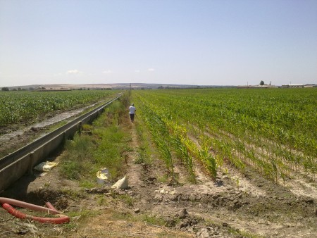 Karacabey / Bakırköy